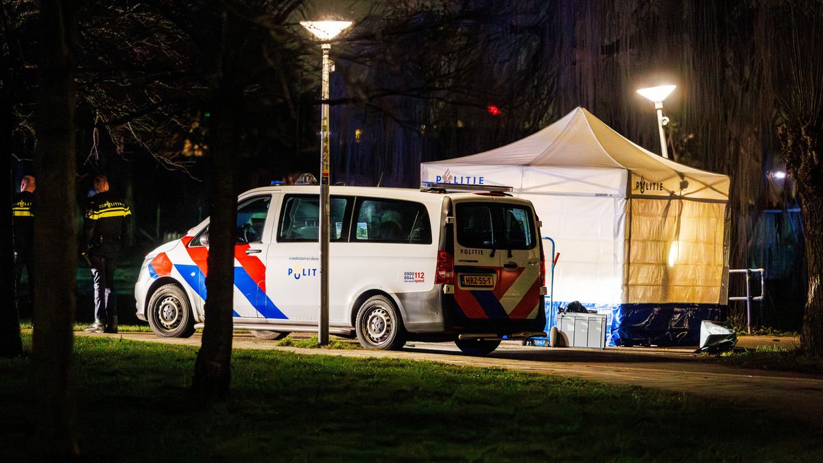 Meerdere tips over moord op Delftse tiener, verdachte blijft langer vast