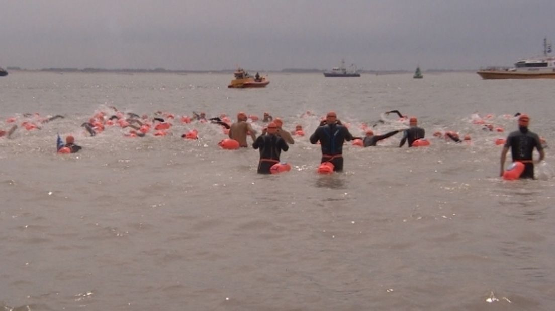 De start van de Scheldebeker in 2016