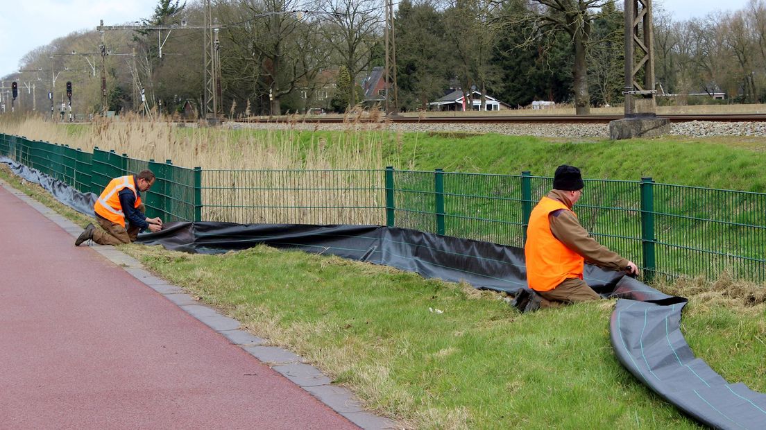 Reddingsactie voor amfibiën