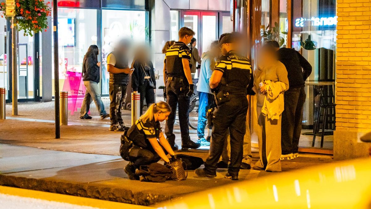 Onrust in Apeldoorn • bestuurder aangehouden