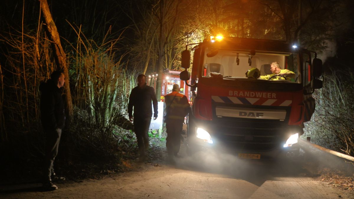Doodshoofdaapjes dood door brand in ZooParc Overloon