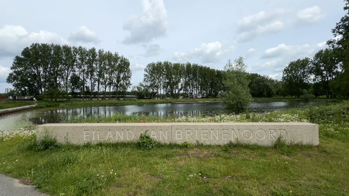Van blubber tot biodiversiteit: Waarom Rotterdam een nieuw getijdenpark krijgt