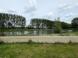 Van blubber tot biodiversiteit: Waarom Rotterdam een nieuw getijdenpark krijgt