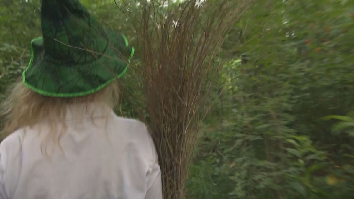 Slingerend de Sallandse geschiedenis ontdekken, de Heks van Lettele wacht al eeuwen