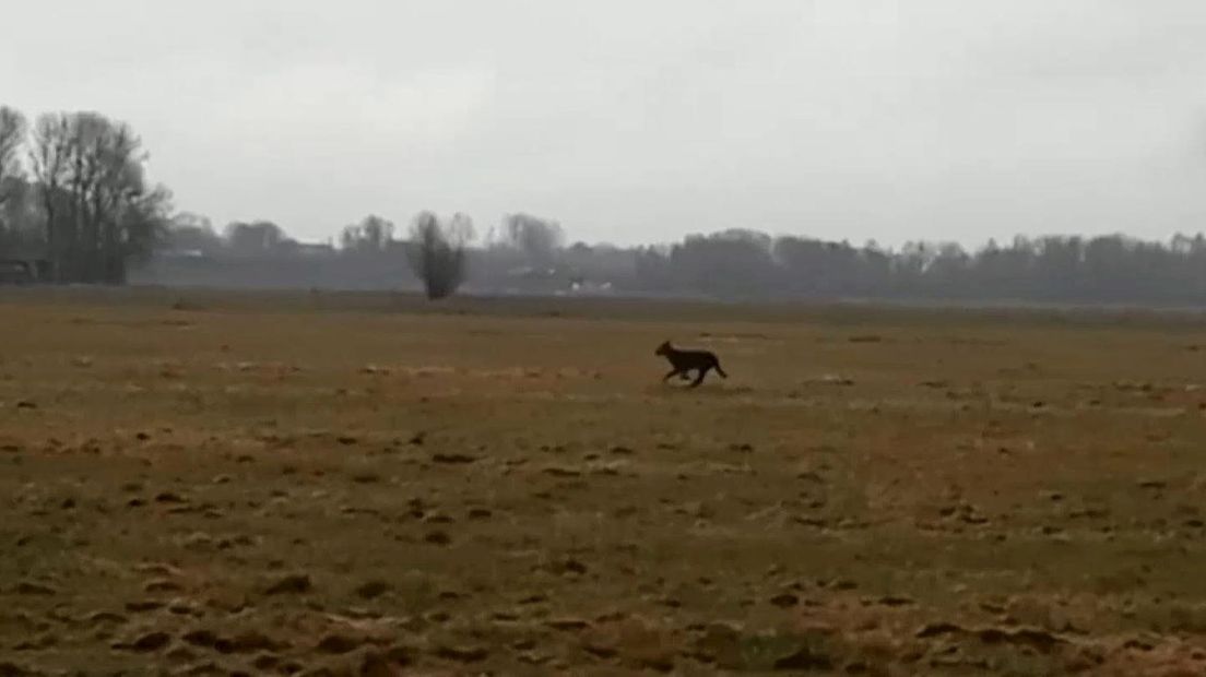 Tweede keer raak op één dag