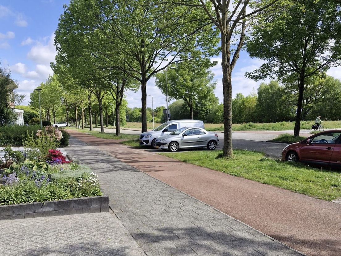 Buurtbewoner naar Raad van State om 'gevaarlijke' parkeersituatie in Hoogeveen