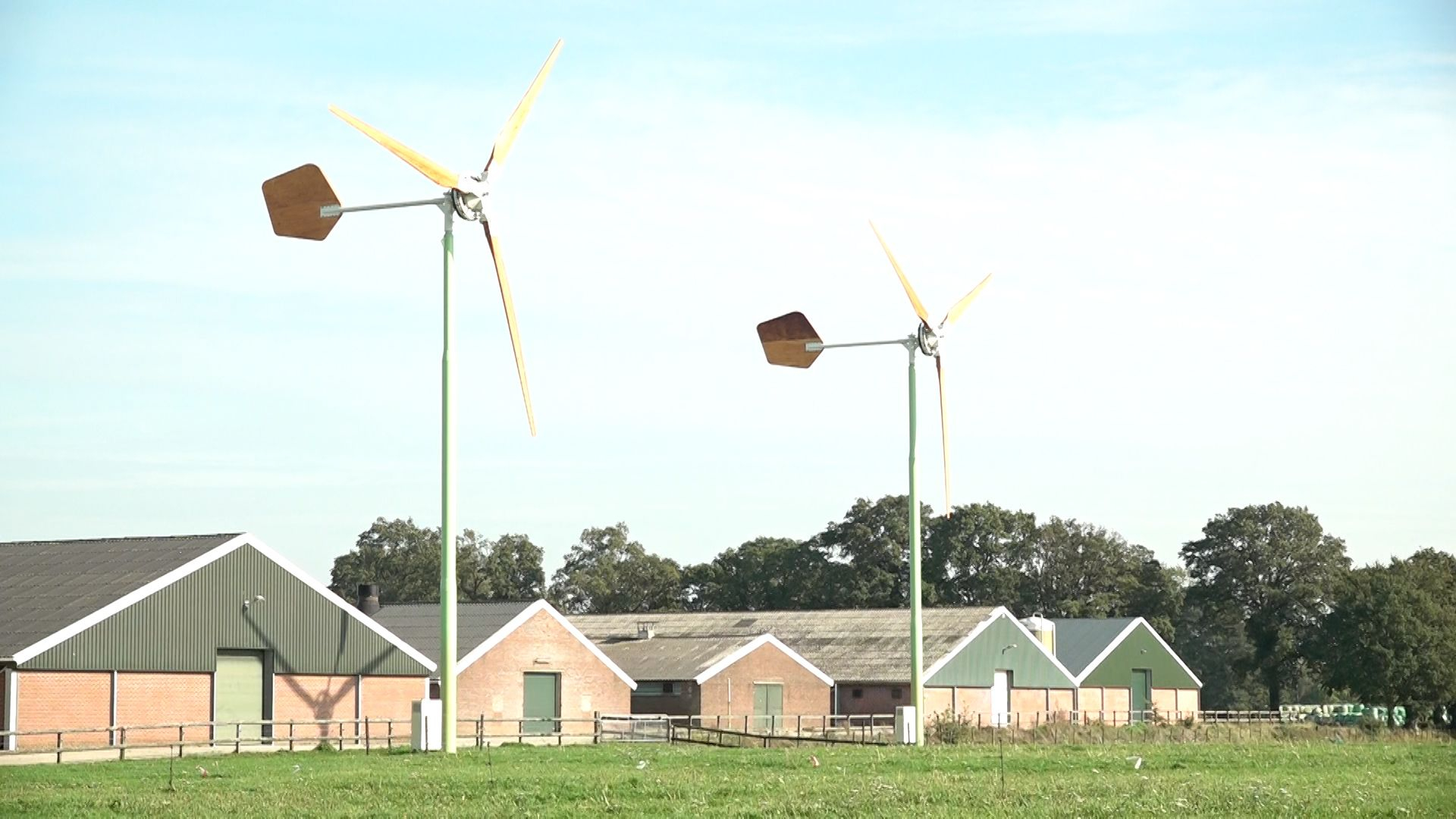 Mini-windmolens van kippenboer Eddy staan stil, maar hoe lang nog