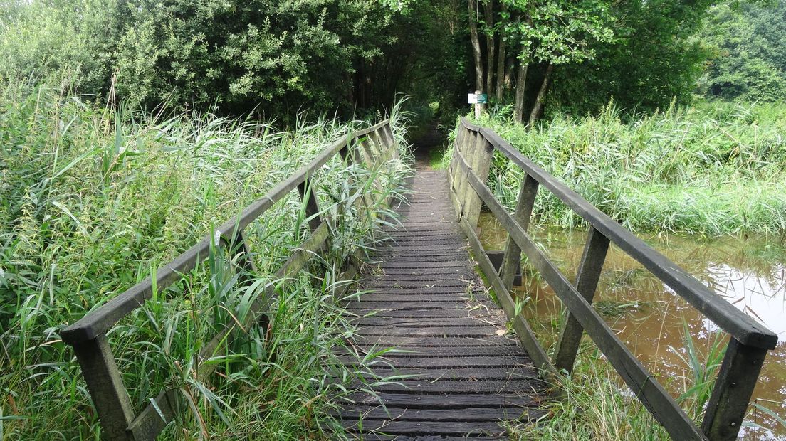 Ommen maakt afspraken over drukte in natuurgebieden