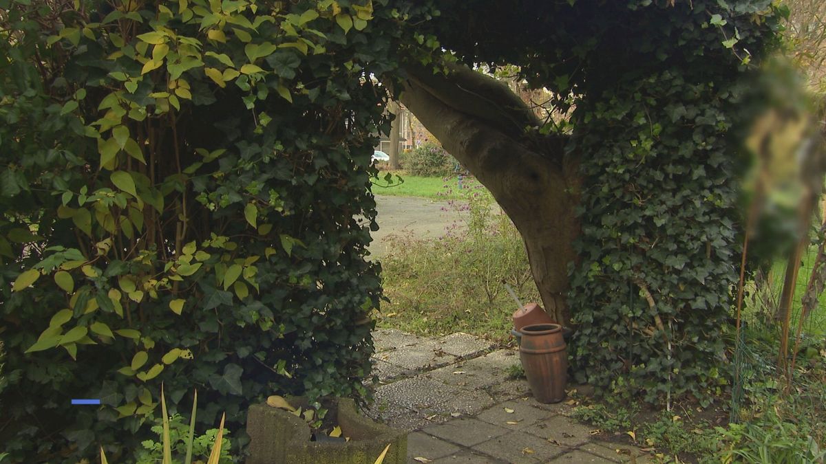 Beelden overvaller Kruidvat winkelcentrum Keizerslanden in Deventer: wie is deze man?