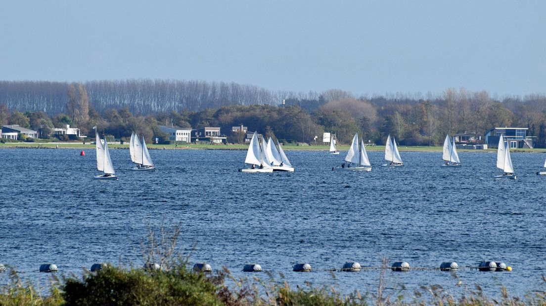 Het Veerse Meer