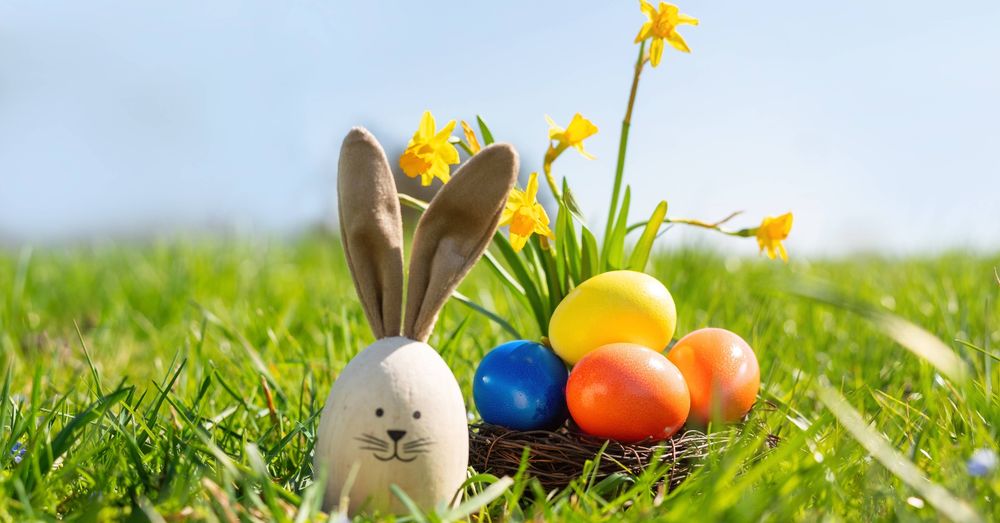 Wat Te Doen Met Pasen Groningen