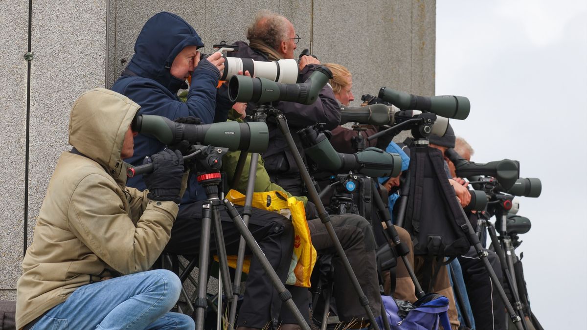 Auto in de sloot in Ureterp na botsing met een busje | Veerdiensten op het Wad geschrapt