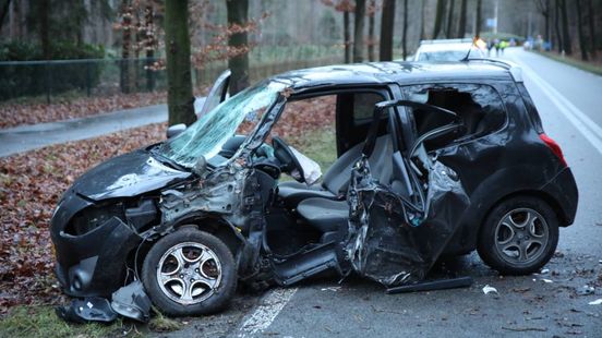 Automobilist zwaargewond na botsing tegen een boom