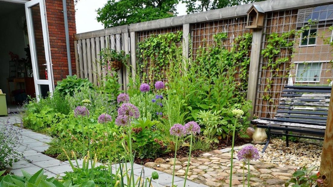 De kleurrijke tuin van Annemarie Hoolhorst.