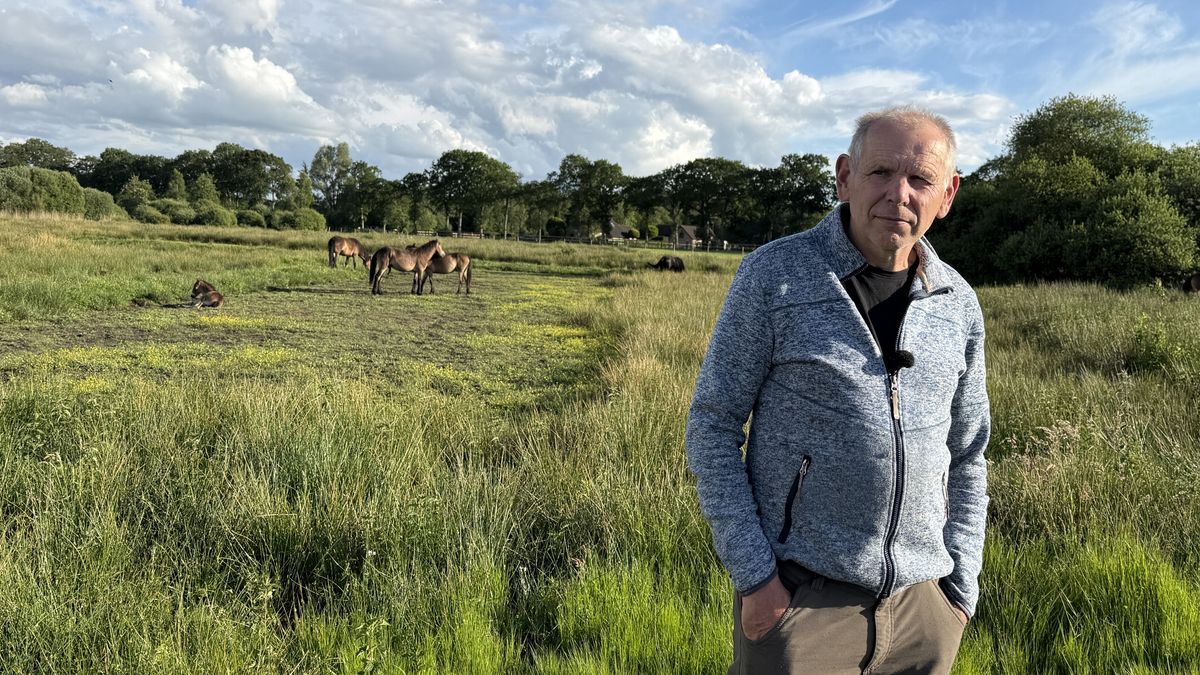 Exmoorpony's Aekingerzand in wolfwerende nachtweide, eigenaar wil af van waarschuwing NVWA
