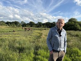 Exmoorpony's Aekingerzand in wolfwerende nachtweide, eigenaar wil af van waarschuwing NVWA