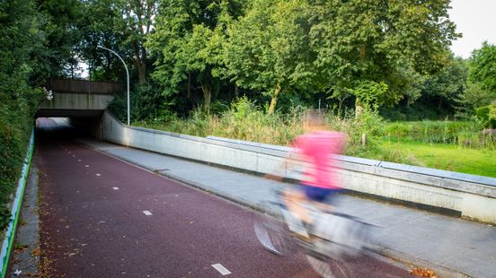 Tiener krijgt celstraf voor doodtrappen terminaal zieke man in Zwols tunneltje Nieuws