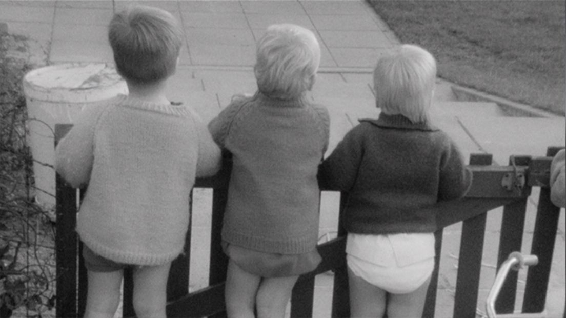 Cruciale gegevens van honderden en mogelijk meer dan duizend kinderen die in Nederland werden geadopteerd zijn vernietigd. Vanaf 1970 zijn hun persoonskaarten gewist, waarop informatie stond over hun biologische ouders. Dat maakt het voor de inmiddels volwassen adoptiekinderen moeilijker te achterhalen wie hen op de wereld heeft gezet.