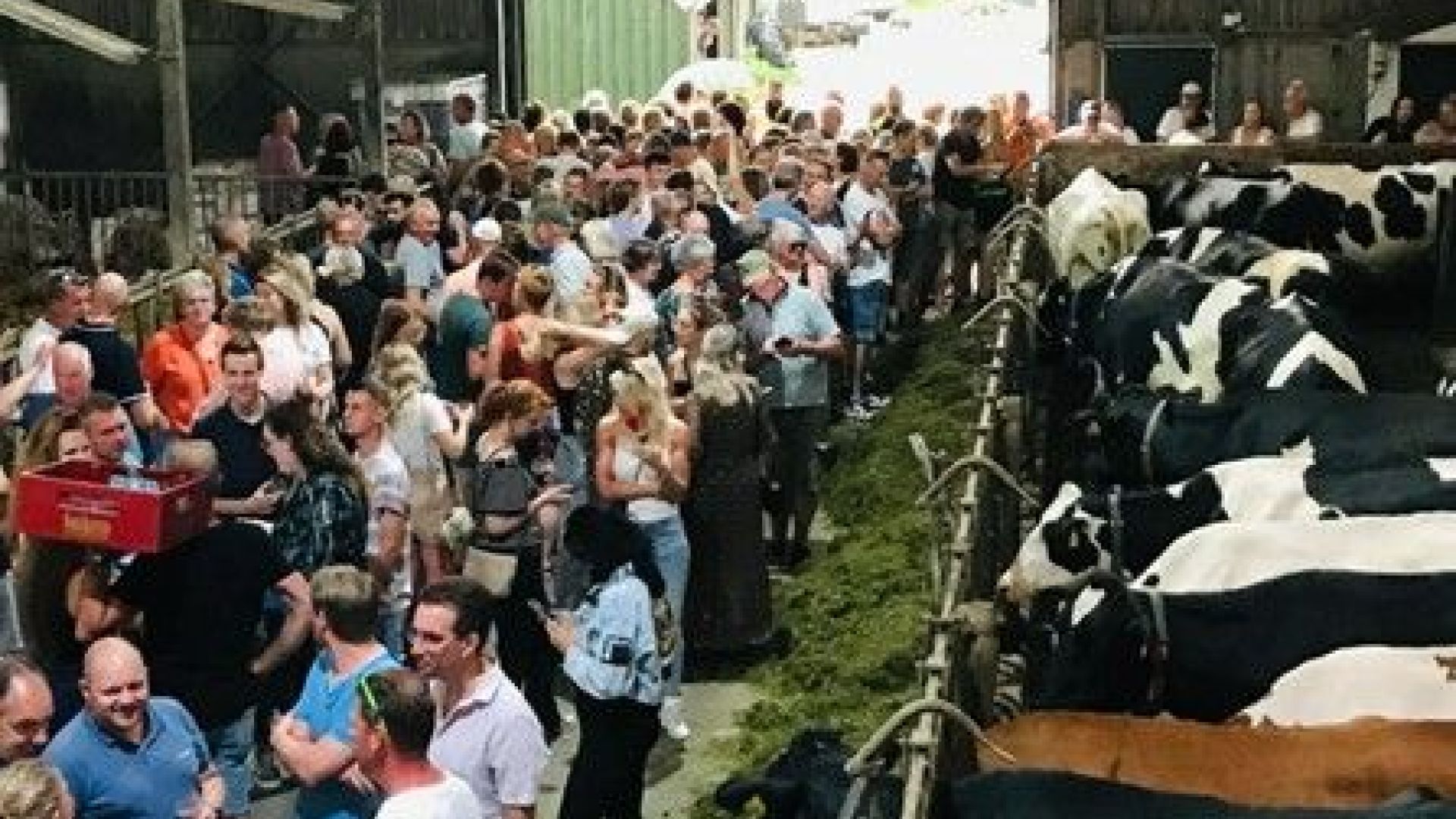 Een drukke bedoeling op de eerste editie van het Hooikoorts Festival.