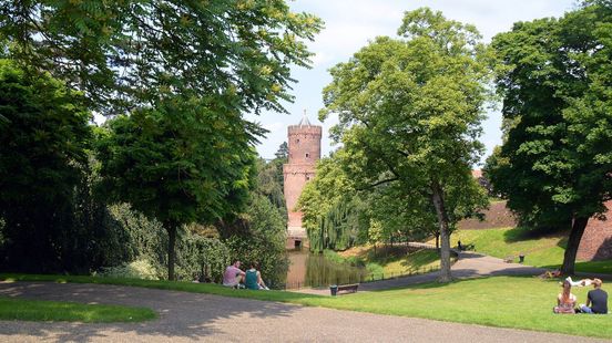 Zedenmisdrijf en gewelddadige diefstal: dit zijn de verdenkingen van incident in park