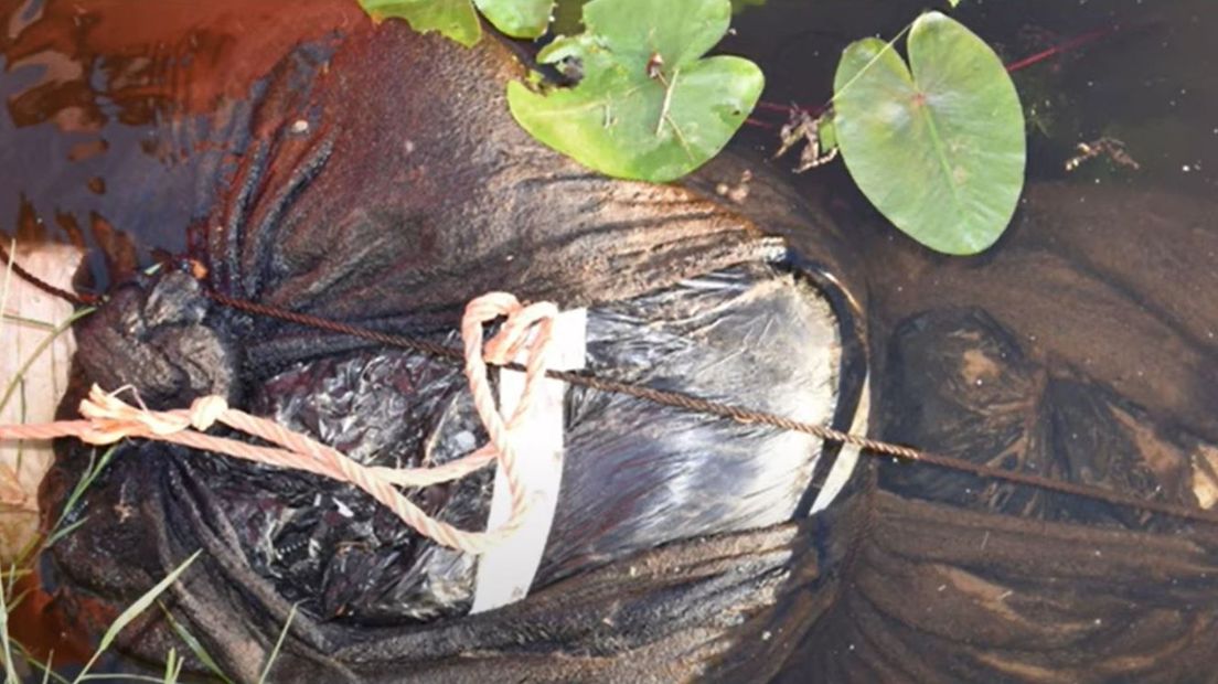 Het ontzielde lichaam van Jihad Jafo werd verpakt in plastic teruggevonden in het kanaal Almelo-De Haandrik.