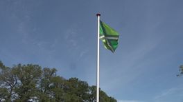 De Achterhoekse vlag versterkt de identiteit: 'Ik ben er gewoon trots op'