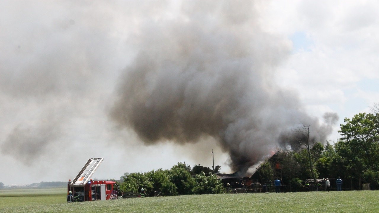 Yn 2015 gie de pleats dêr't de bisten opfongen waarden yn flammen op