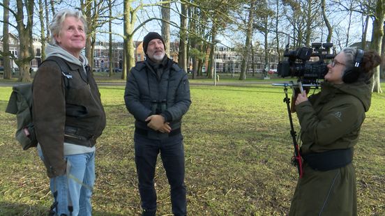 Eddy Zoëy volgt halsbandparkieten naar hun slaapplaats: 'samen slapen betekent minder kans dat jij een snack voor een roofvogel bent' Nieuws