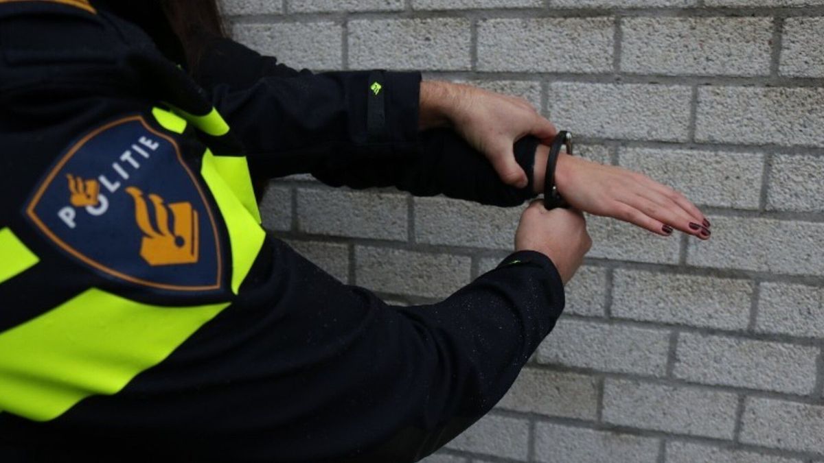 Pistolen en drugs gevonden in Hoedekenskerke