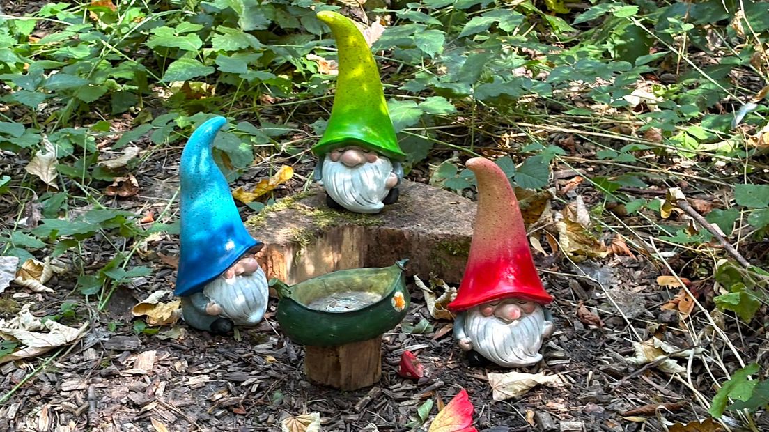 Baardmannetjes in het kabouterbos