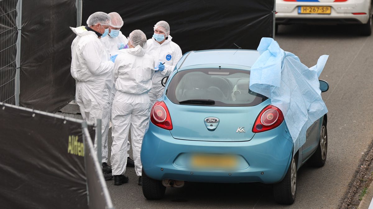 Jesse is met hoofd van dode moeder op weg naar paleis van koning: 'Ben nog veel zieker dan ik dacht'