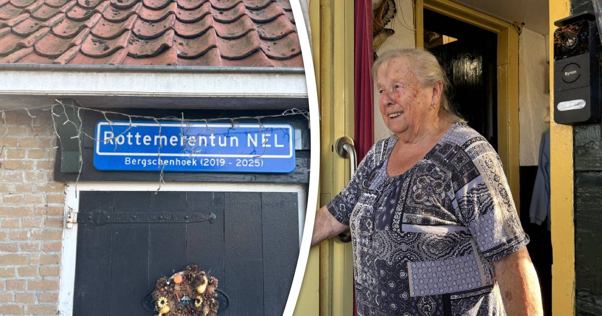 www.rijnmond.nl
