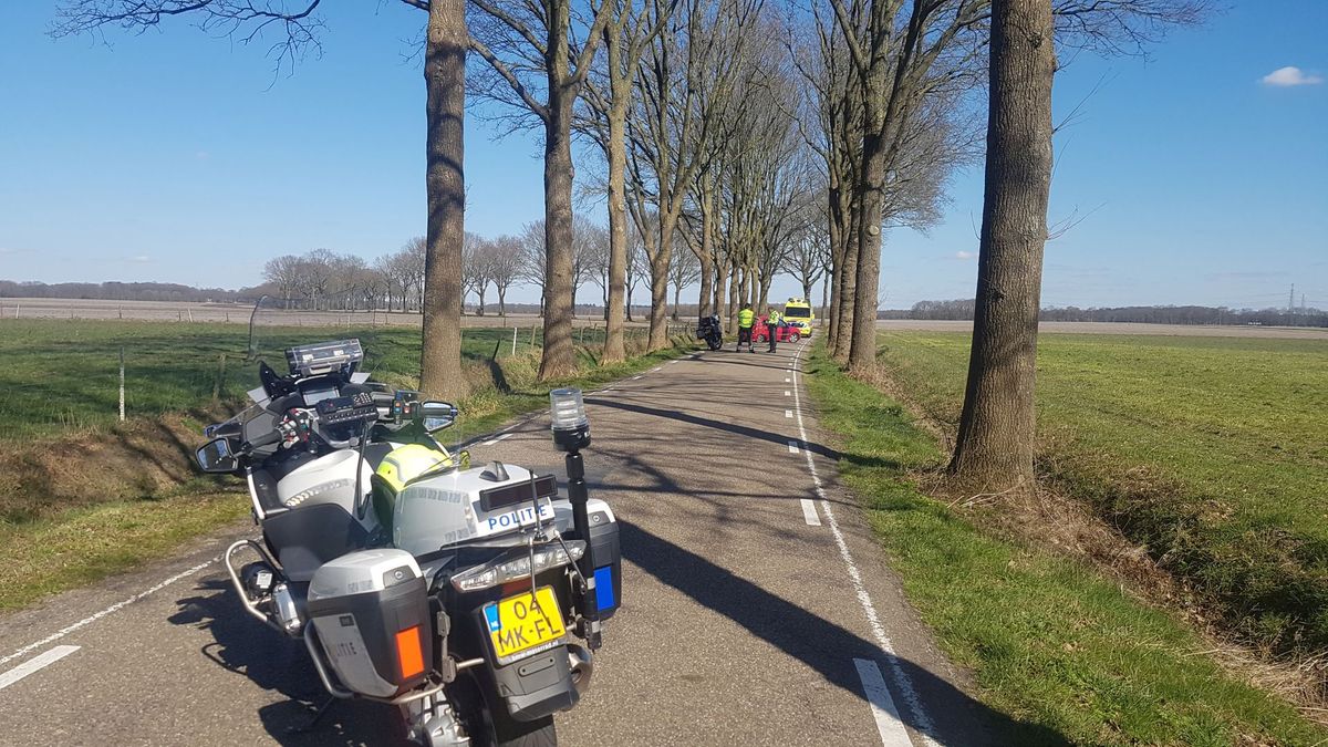 Auto tegen boom bij Hijken