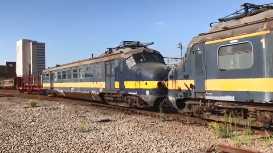 De Benelux-Hondekop in België op weg naar Roosendaal.