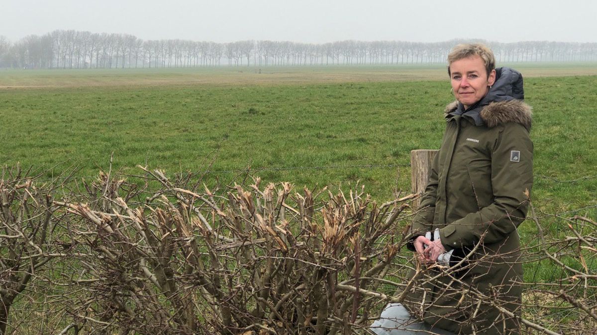 Wierumer wierde als laatste rustplaats: 'Er is plek voor 250 graven'