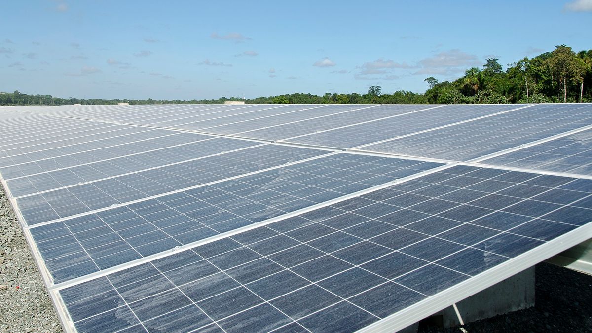 Opeinde wil plannen voor zonnepark voorlopig stopzetten