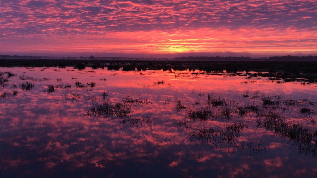 De kleuren reflecteren mooi in het water