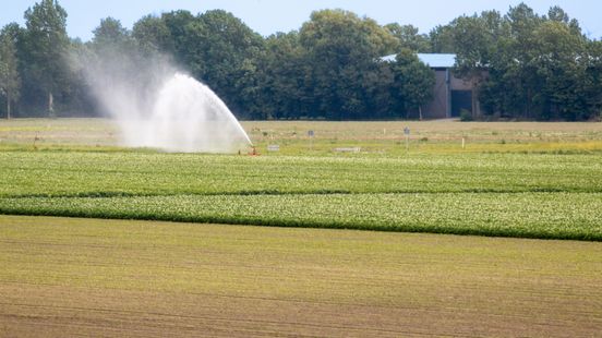 'Sluipmoordenaar' droogte vraagt om een andere aanpak Home