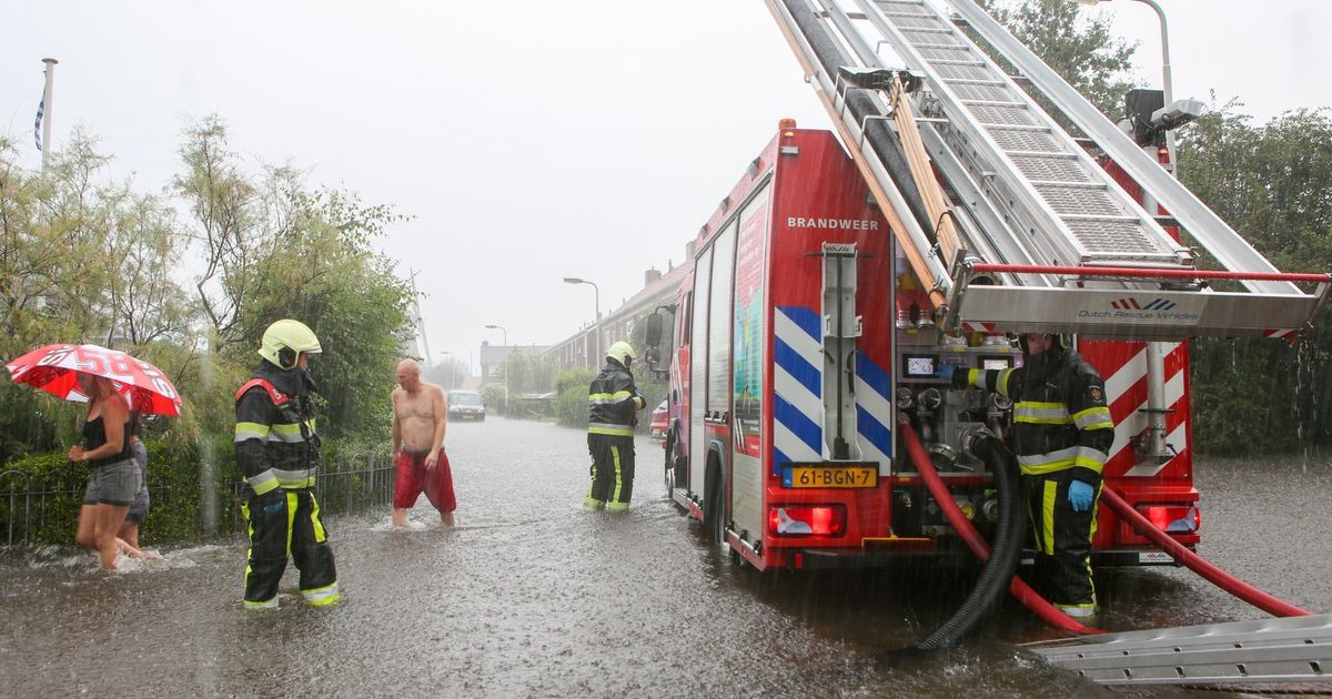 www.omropfryslan.nl