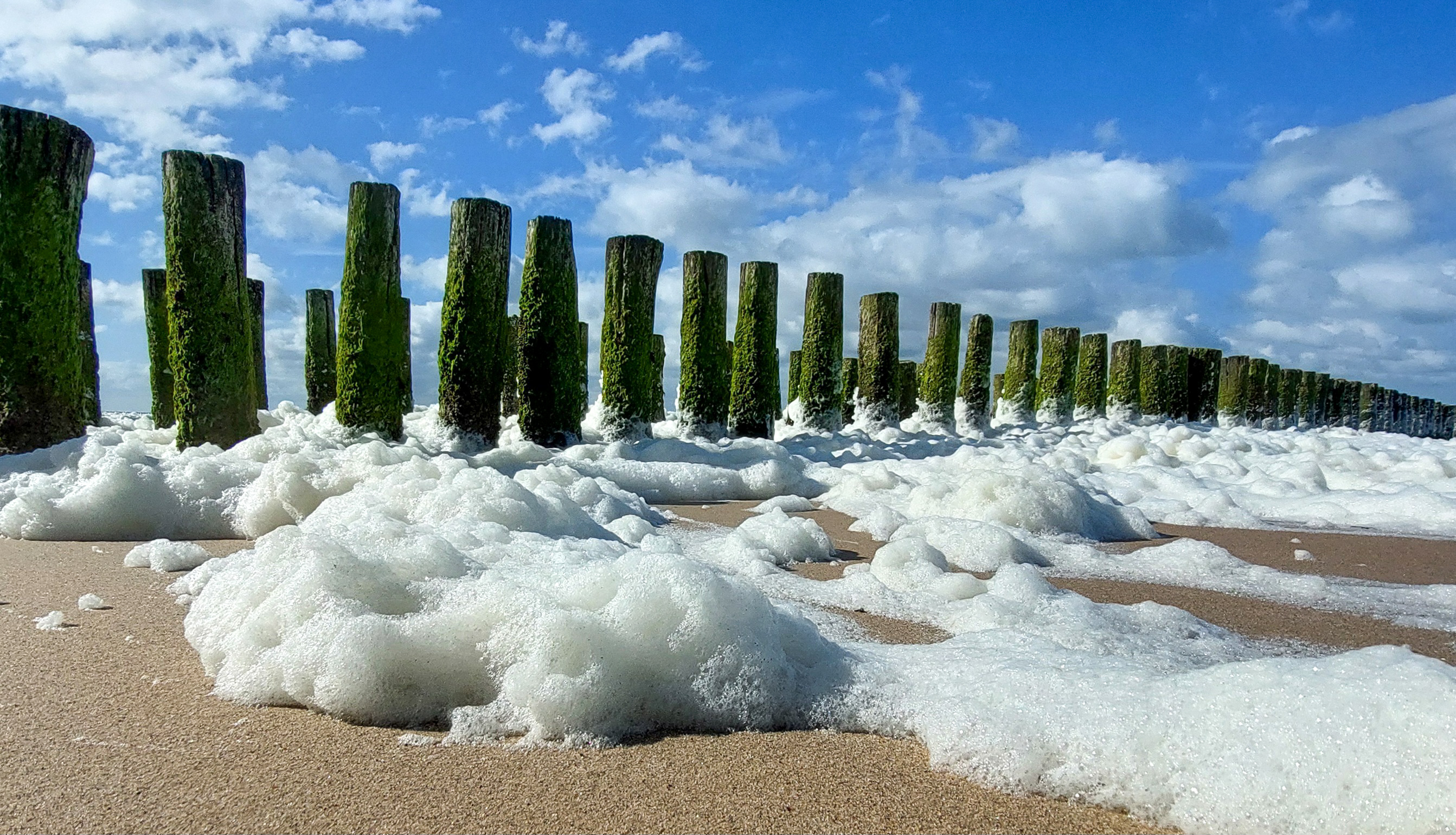 Provincie waarschuwt voor zeeschuim: 'Laat je kinderen of huisdieren er niet in spelen'