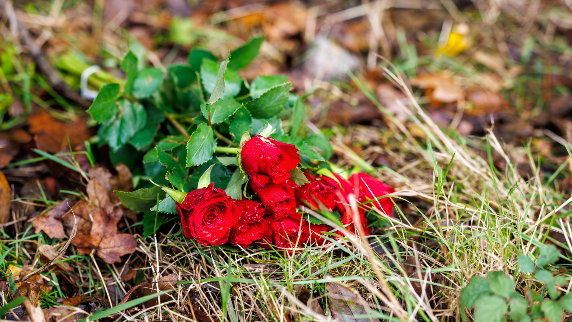 Een bos rozen voor de overleden vrouw