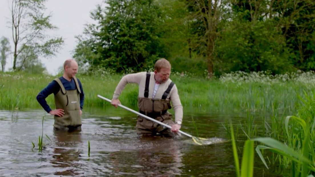 Soortenrijkdom in de Achterhoek ernstig bedreigd door vervuiling water