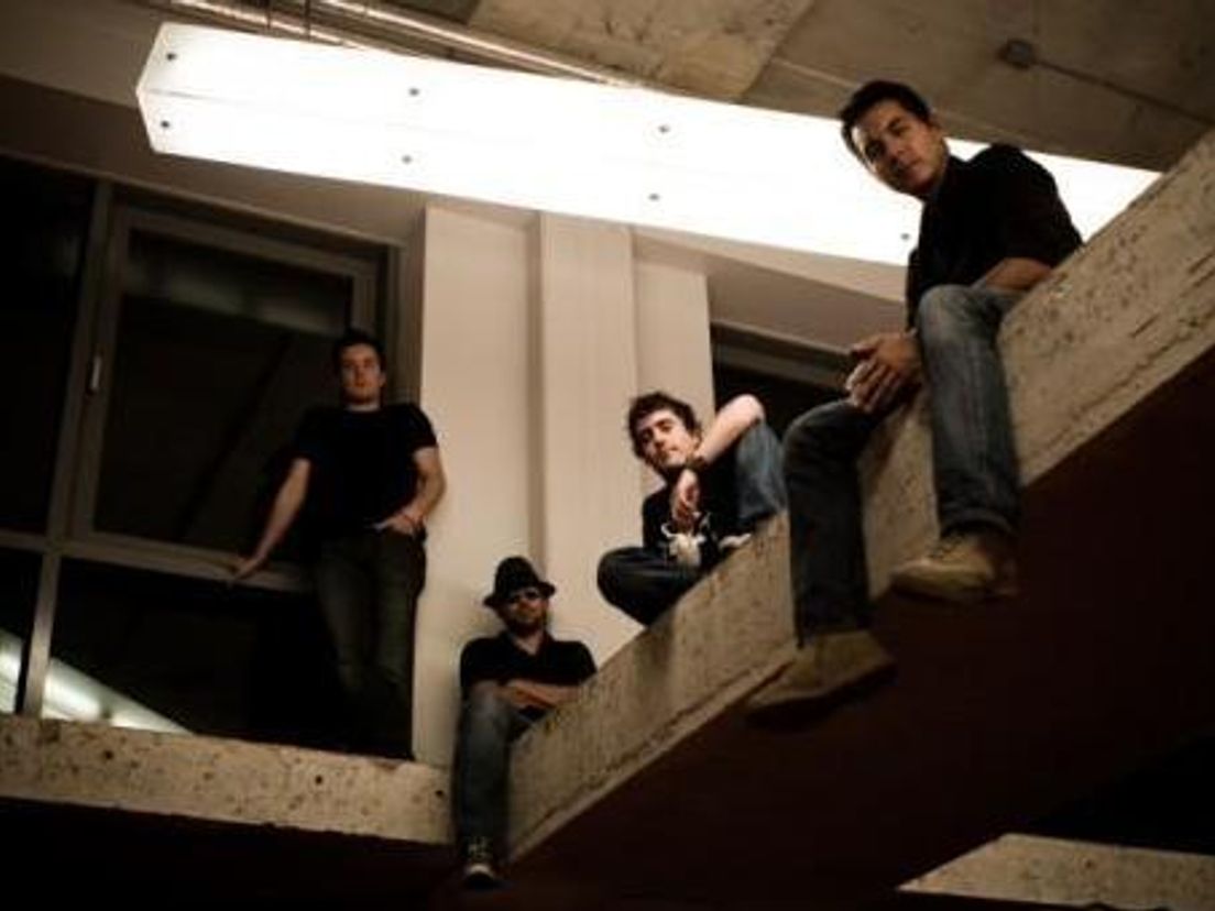 The Staring Sheep in Live Uit Lloyd