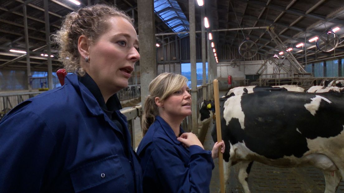 Margreet helpt ook even mee op de boerderij