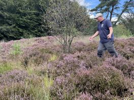 Vrijwilligers kammen natuurgebied uit op zoek naar slangen