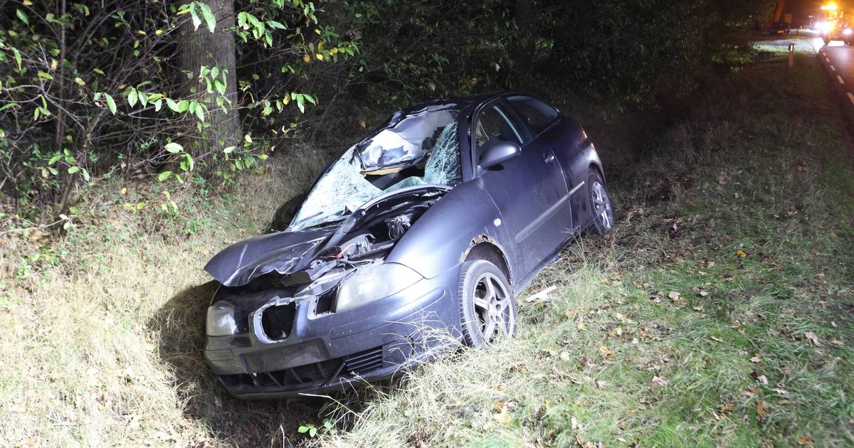 Paard overleden na aanrijding met auto op N347, twee gewonden naar ziekenhuis