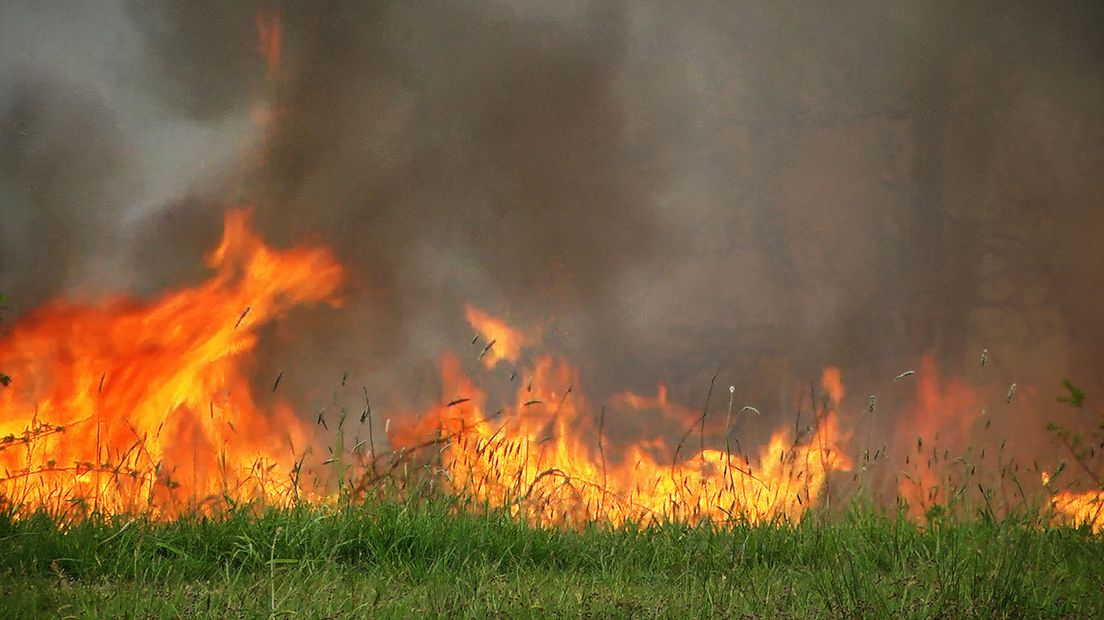 De Veiligheidsregio is opgeschaald naar fase 2: het risico op natuurbranden is groter door de droogte.
(Rechten: RTV Drenthe)
