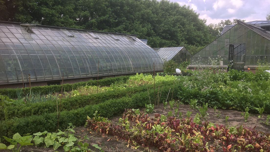 De historische moestuin met kassen van Hindersteyn