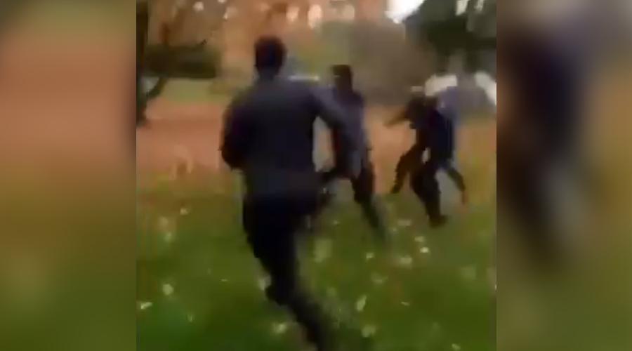 Beeld van Twitter via @harkmaat