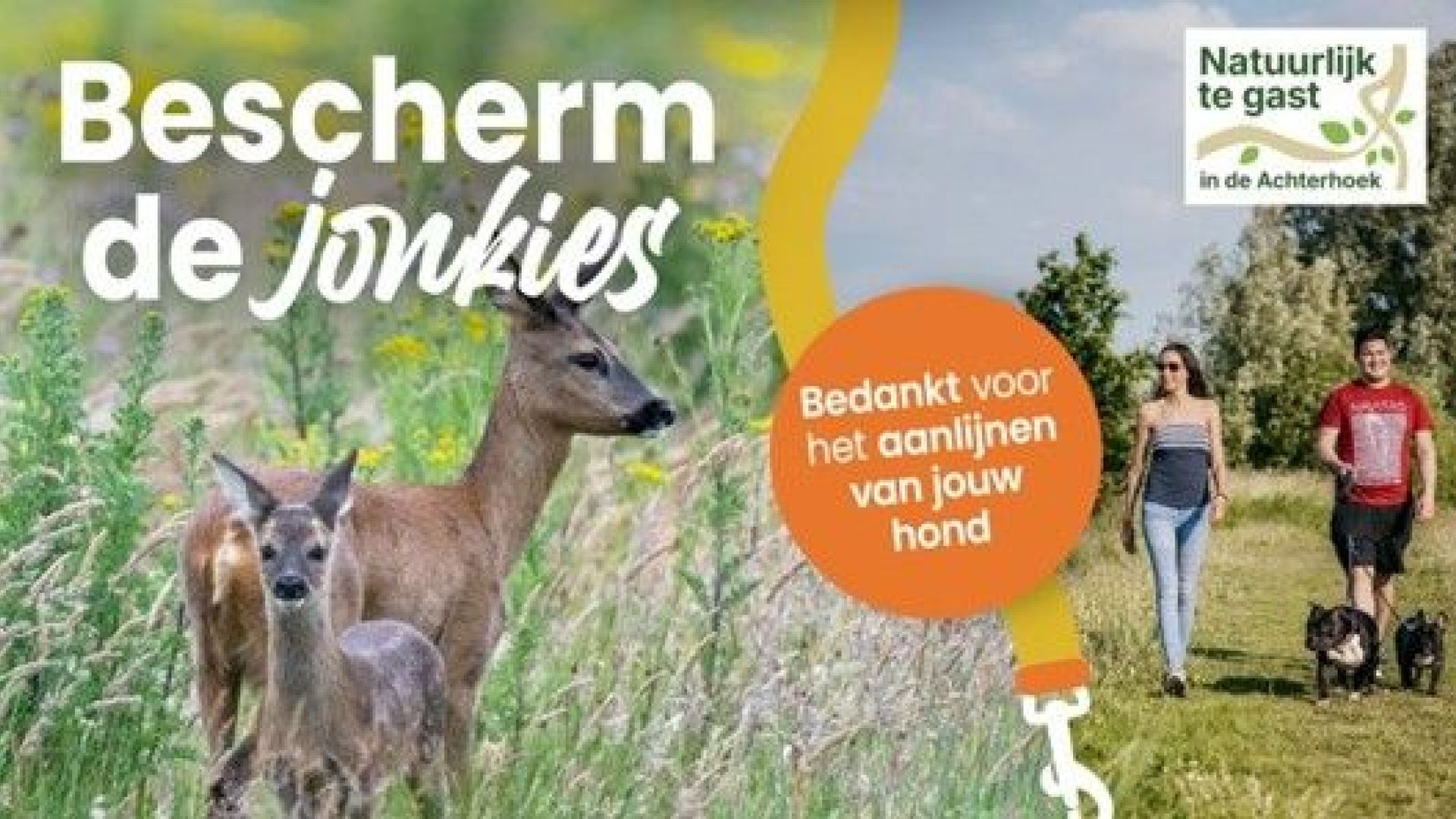 Bescherm de jonkies in het voorjaar: houd honden aangelijnd.